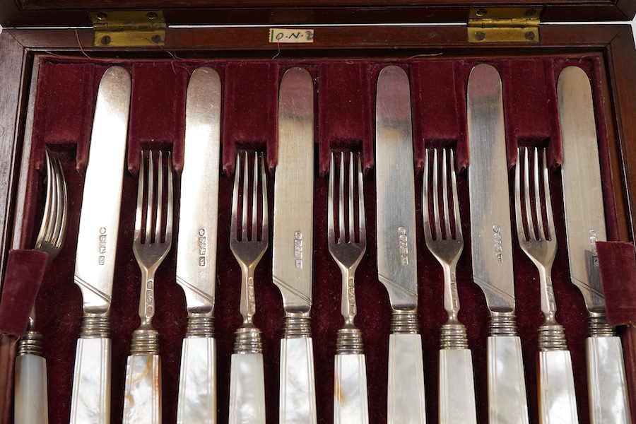 A set of twelve pairs of early Victorian mother of pearl handled dessert eaters, by Aaron Hadfield & Sons, Sheffield, 1838, no date letter on the forks, knife 19.1cm, housed in a mahogany canteen.